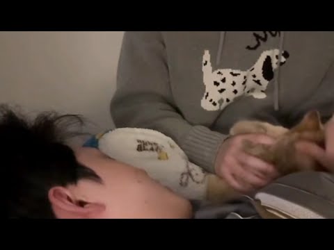 Livestream 21.12.2025 | ddz & 1l #bl #bltiktok #lgbt #gay #jenvlog #vlog - BL Couple サムネイル