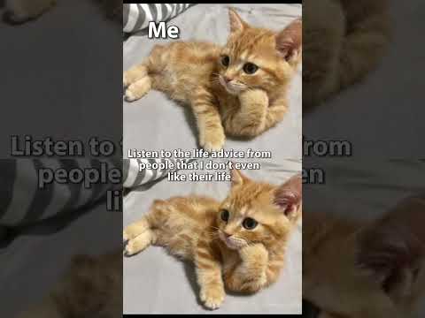 That’s sounds like a nightmare to me 😭😂 サムネイル